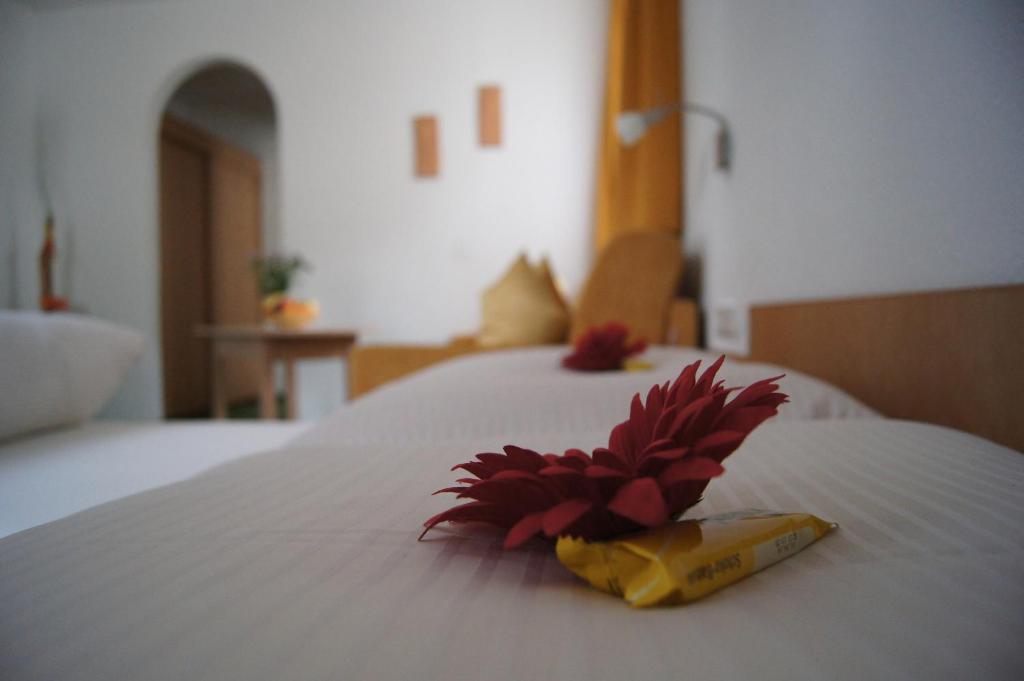 Postel nebo postele na pokoji v ubytování Köcks Bed & Breakfast