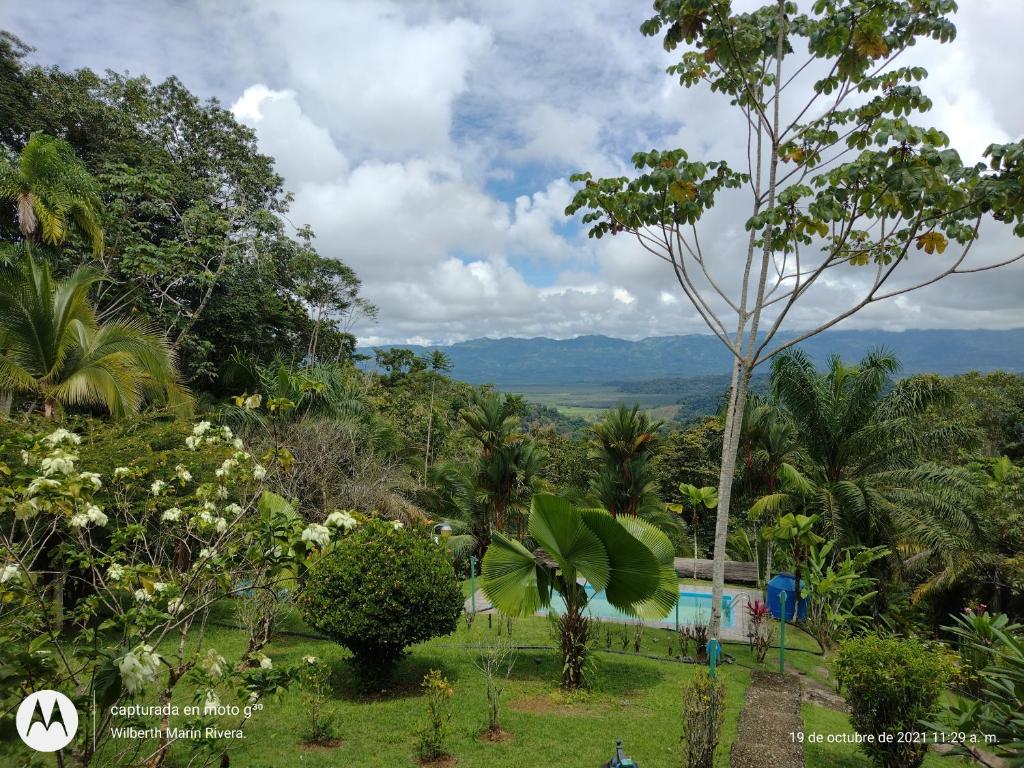 vista do jardim de um resort com piscina em Hotel Mirador Osa em Mogos