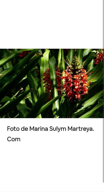 Fotografie z fotogalerie ubytování Jardín de Naipí 2 v destinaci Puerto Iguazú