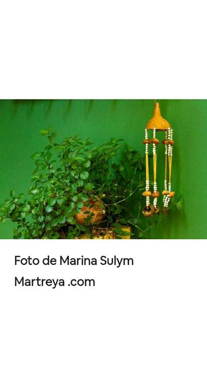 Fotografie z fotogalerie ubytování Jardín de Naipí 2 v destinaci Puerto Iguazú