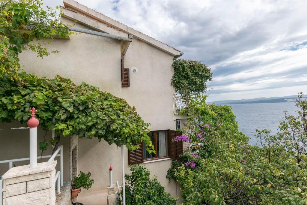 Príroda v okolí apartmánu
