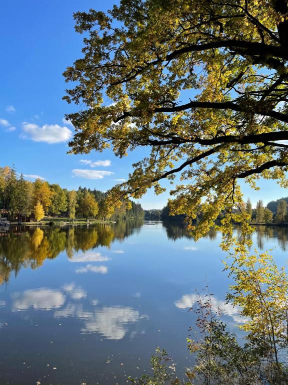 een uitzicht op een meer onder een boom bij Am Herrensee in Litschau