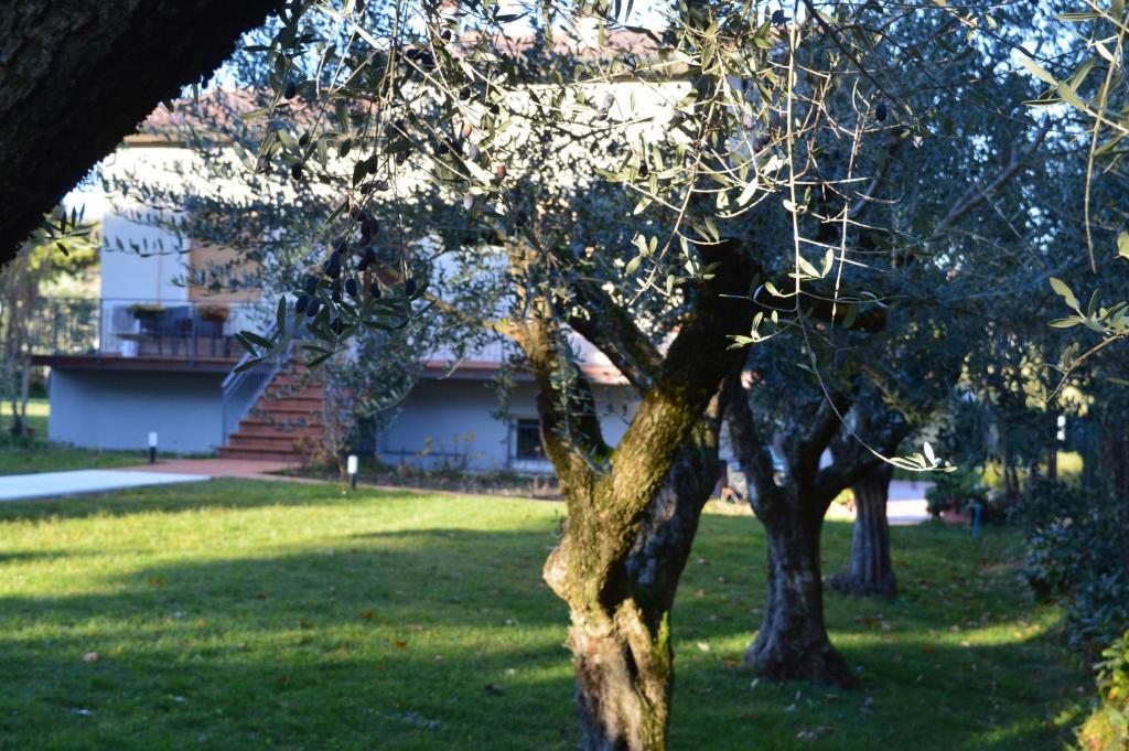 Zahrada ubytování The Swan B&B