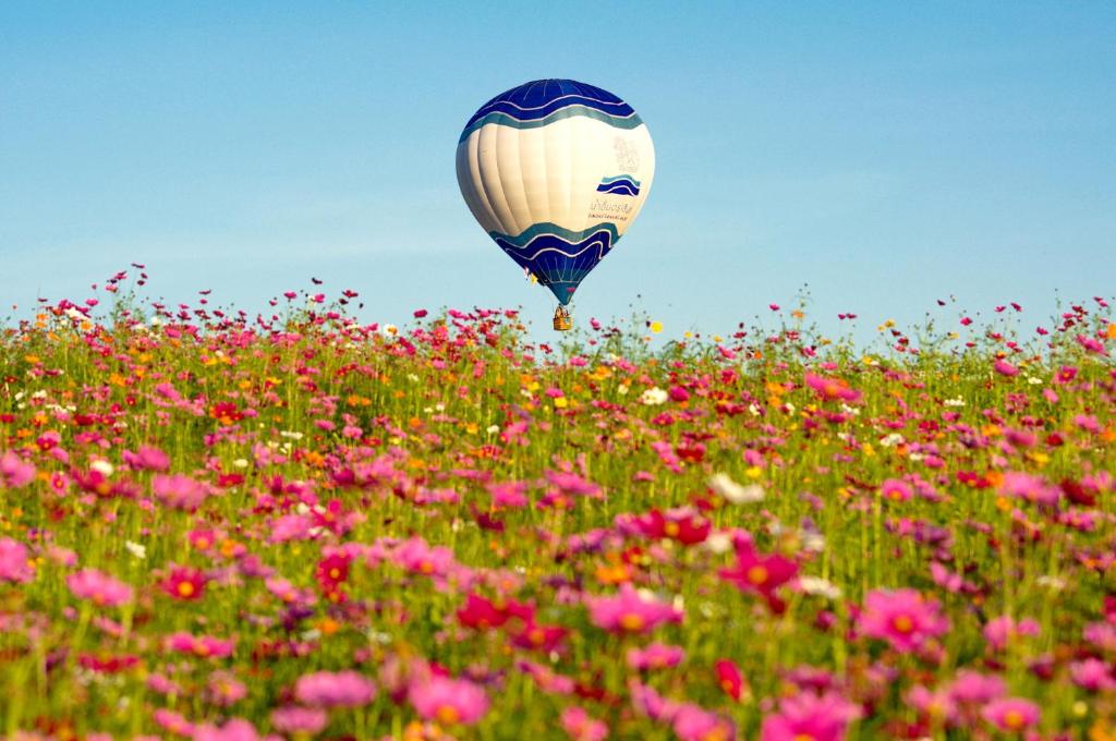 Luckswan Boutique Chiang Rai - SHA Extra Plus - Resim 38