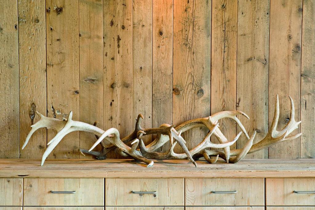a antlers of a deer on top of a wooden table at Kitzhof Mountain Design Resort in Kitzbühel