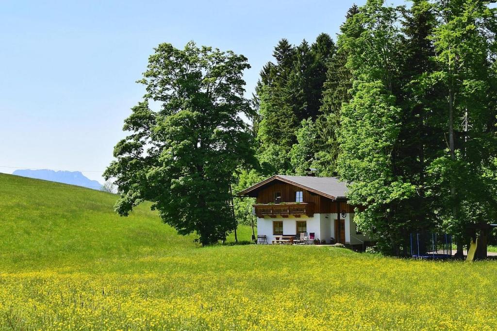uma casa no meio de um campo com árvores em holiday home Kathrin, St Koloman em Grubach