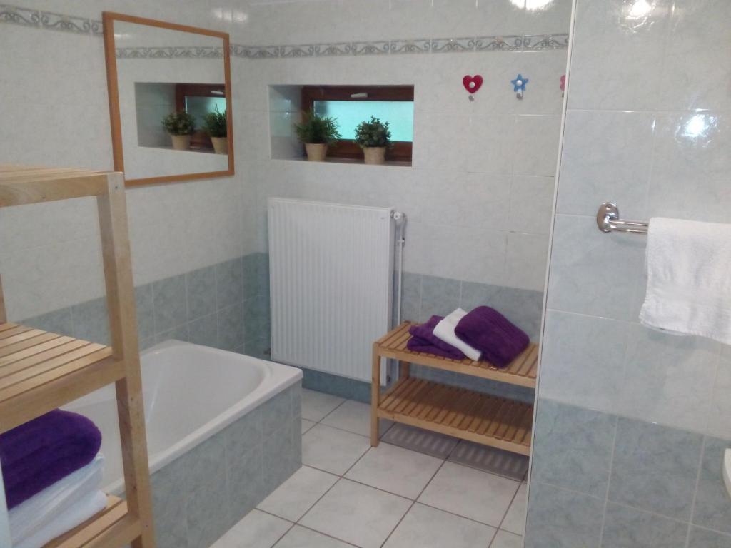 a bathroom with a shower and a tub and a sink at Gîte La Grange in Saint-Laurent-dʼOlt