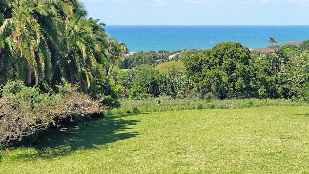 a field of grass with the ocean in the background at Southbroom Smartstays in Southbroom