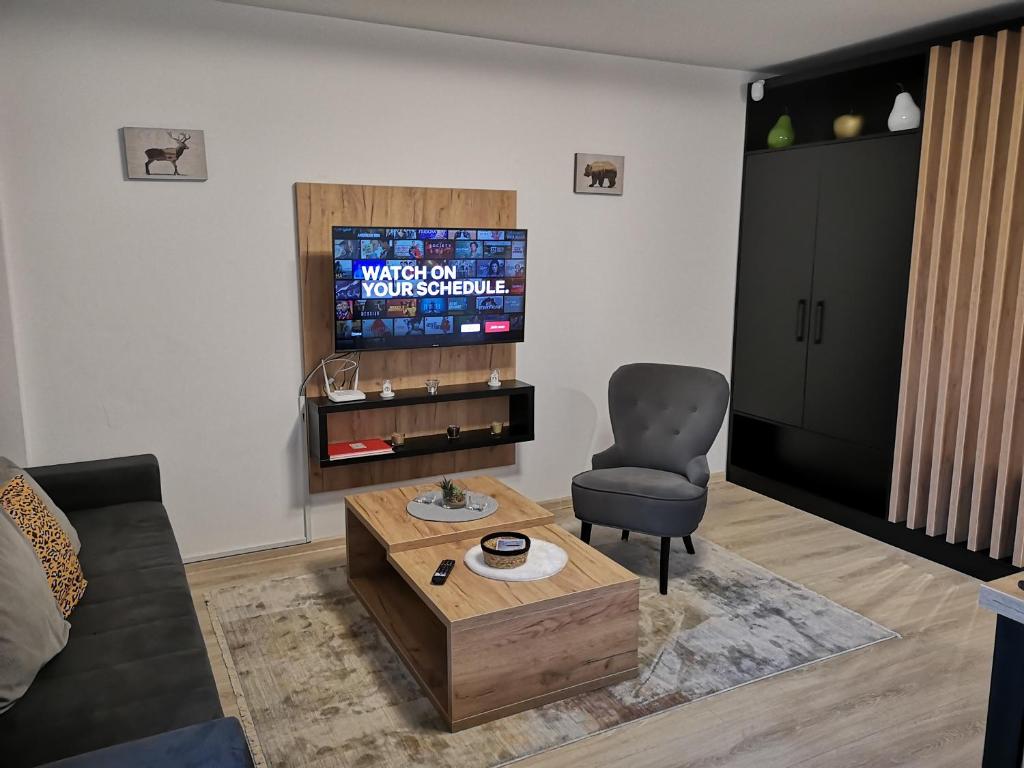 TV a/nebo společenská místnost v ubytování Zlatar Holidays Apartmani