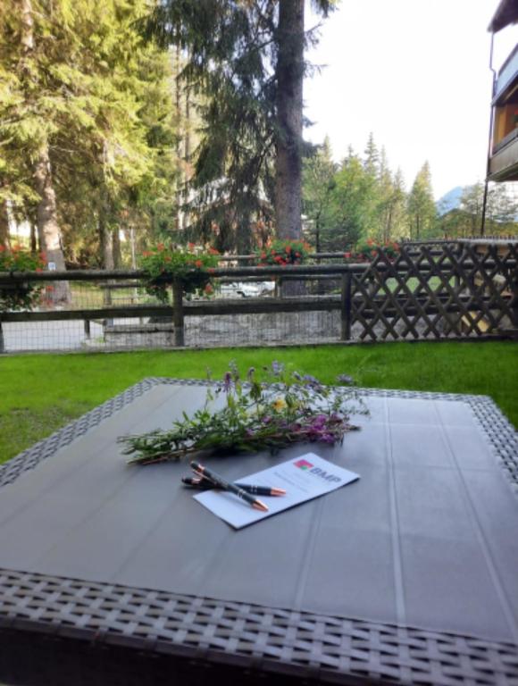 Ogród w obiekcie BMP APARTMENT SPINALE Campiglio centro, GARAGE