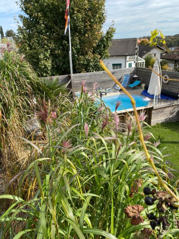 a swimming pool in a yard with plants at Chez Sven - Studio 'Le Petit' in Lohn-Ammannsegg