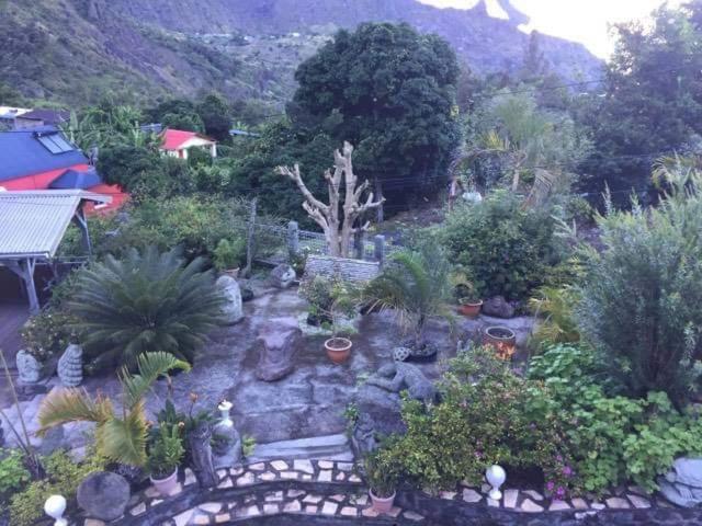 un jardín con un montón de plantas y árboles en La villa du sculpteur Palmiste Rouge, en Cilaos
