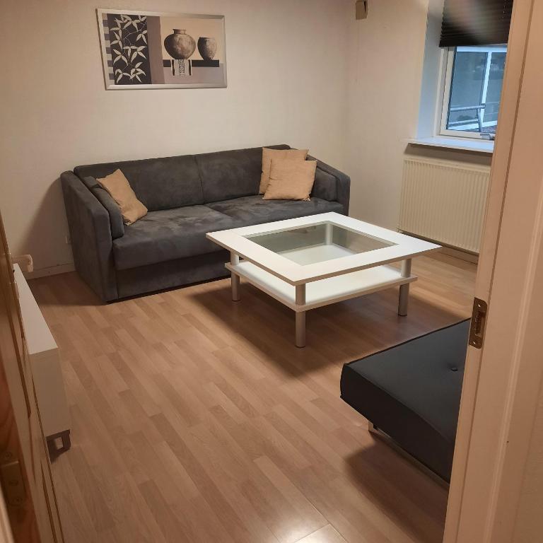 Agervej 45, Borris - Housity