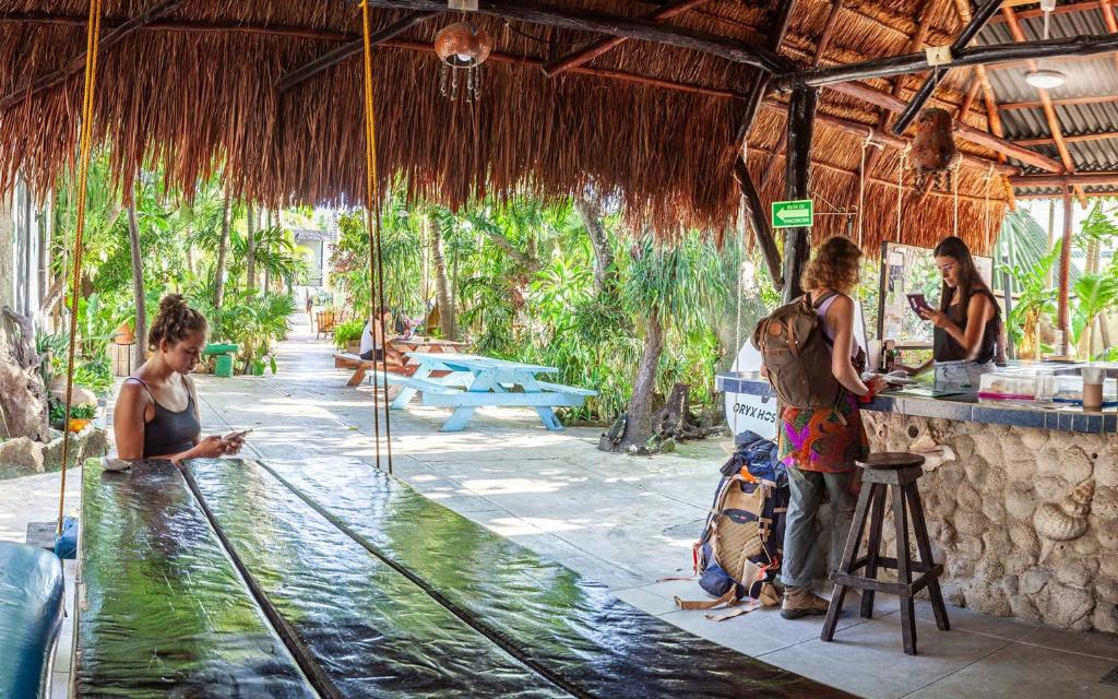 Hosté ubytování Hostel Oryx Tulum