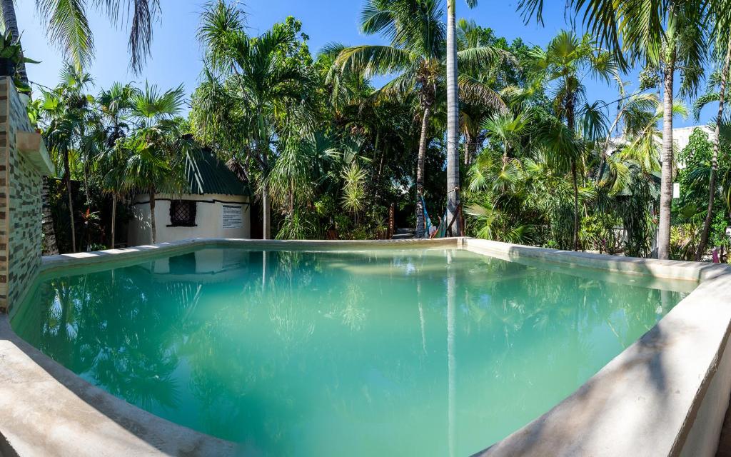 a swimming pool with blue water and palm trees at Hostel Oryx Tulum in Tulum