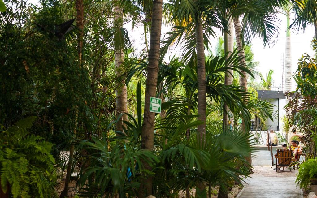 Zahrada ubytování Hostel Oryx Tulum