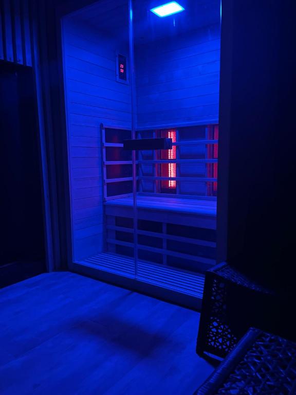 Postel nebo postele na pokoji v ubytování La suite Grenoble spa jacuzzi et sauna privatif