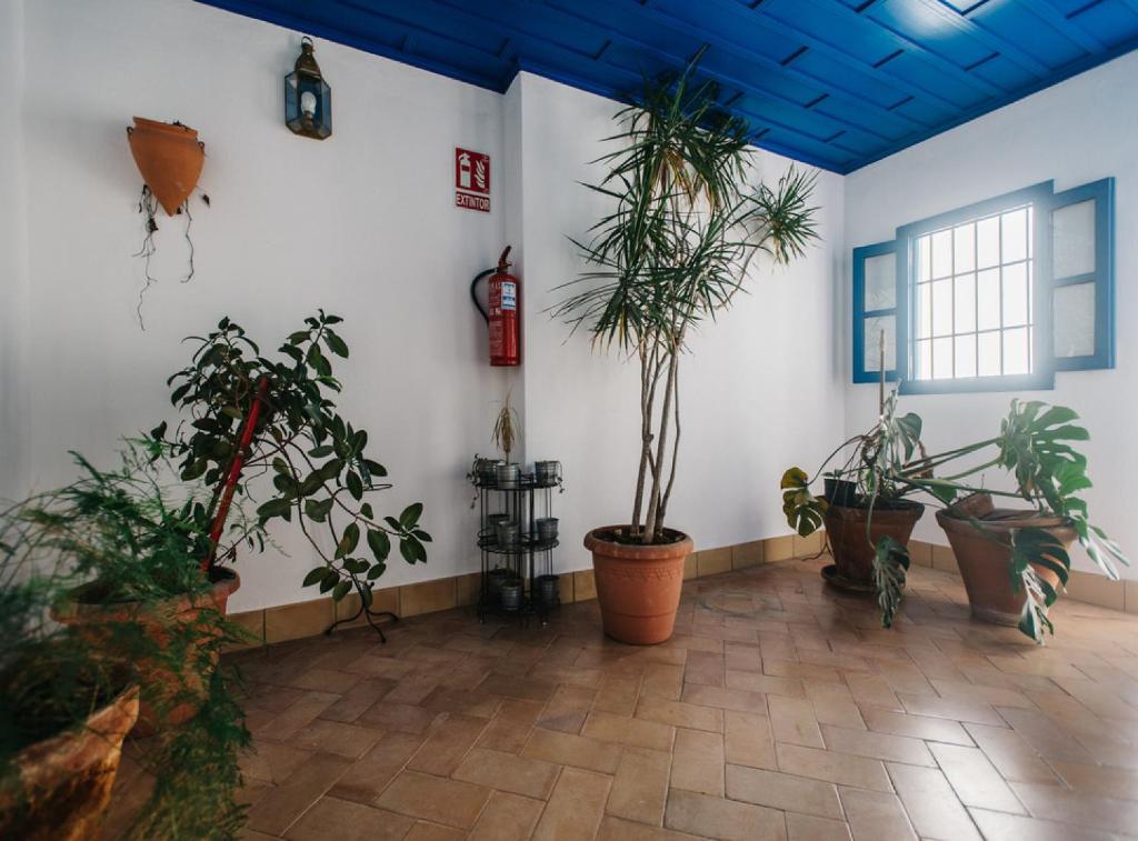 Vonkajšia záhrada v ubytovaní RentalSevilla Vidrio I