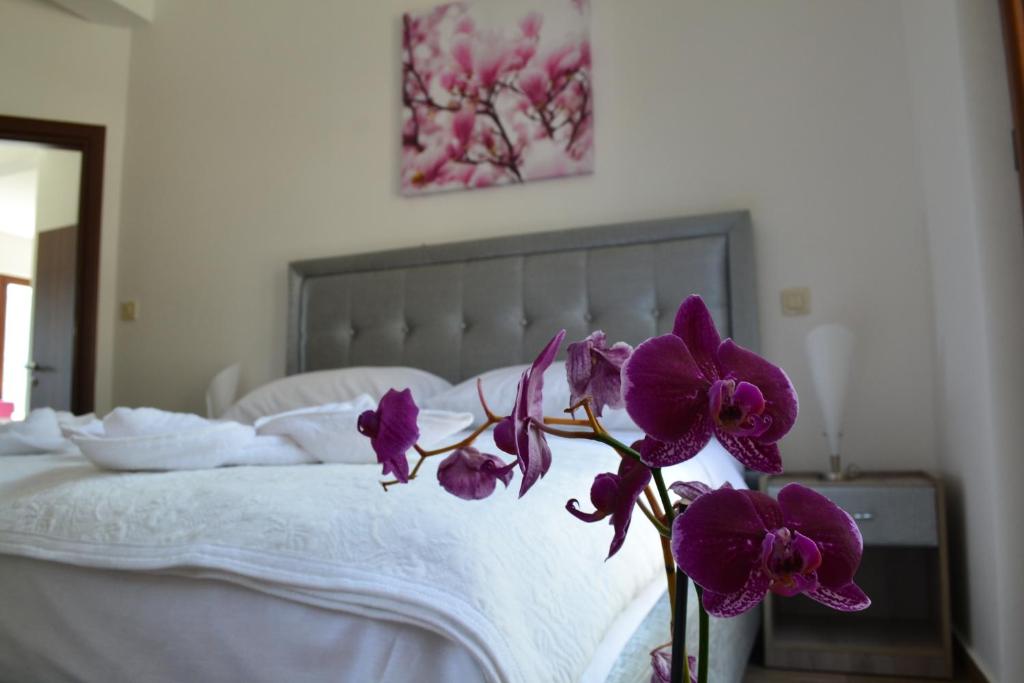 Bocche di Cattaro Apartments - 2