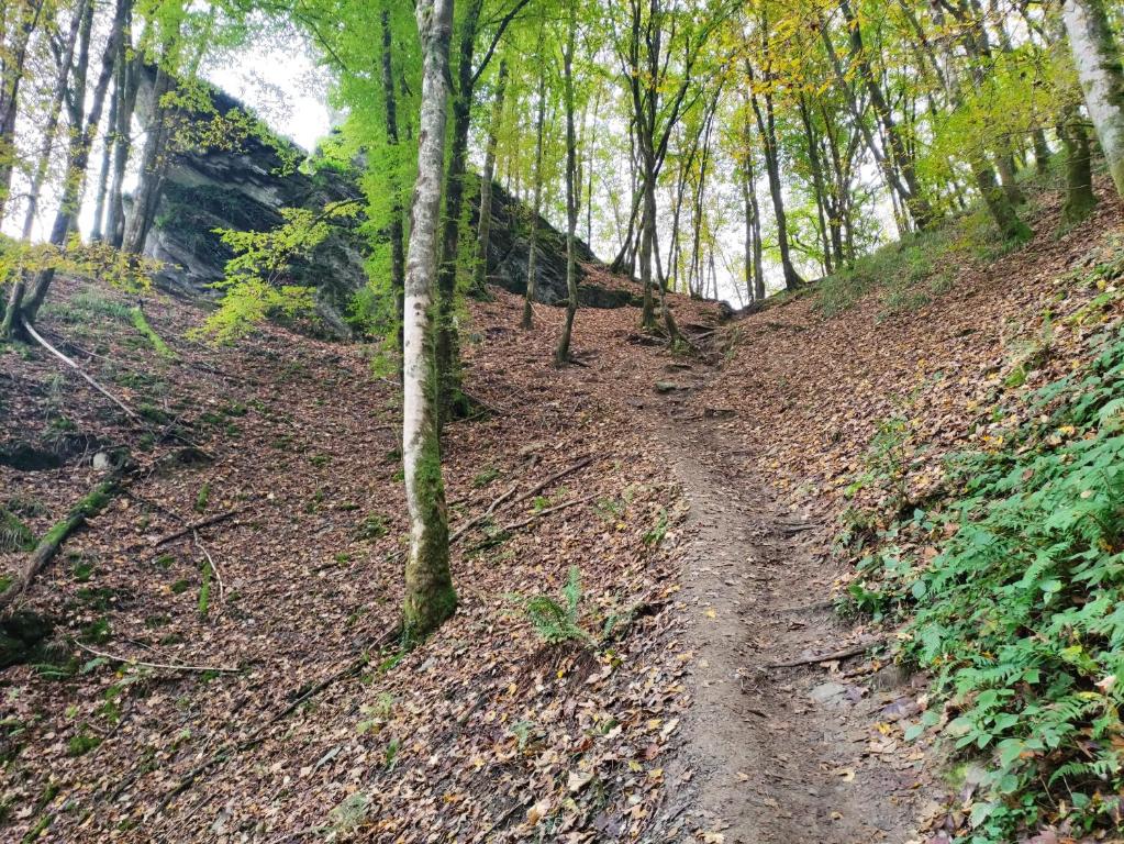 Paesaggio naturale nelle vicinanze della casa vacanze