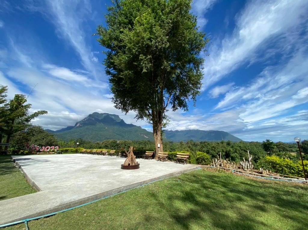 a tree in the middle of a park with mountains at Mon Kiang-Dao Resort in Chiang Dao