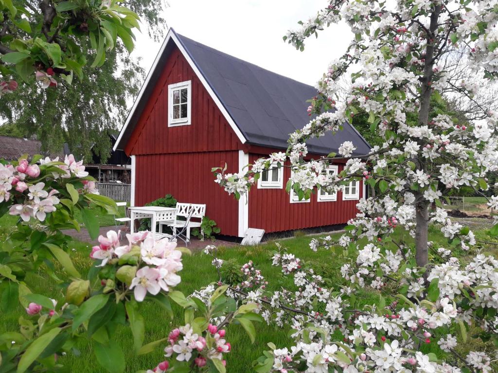 un granero rojo con un banco en un patio con flores en Brösarp Källagården Vedboden en Brösarp