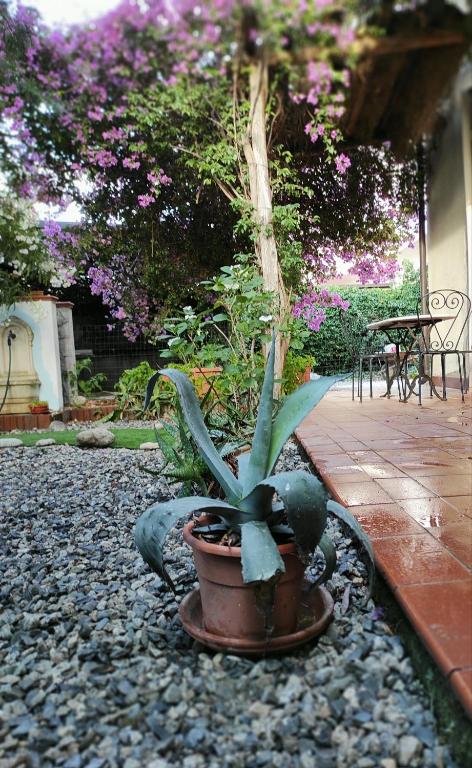 casa d'amare - Two-Bedroom House