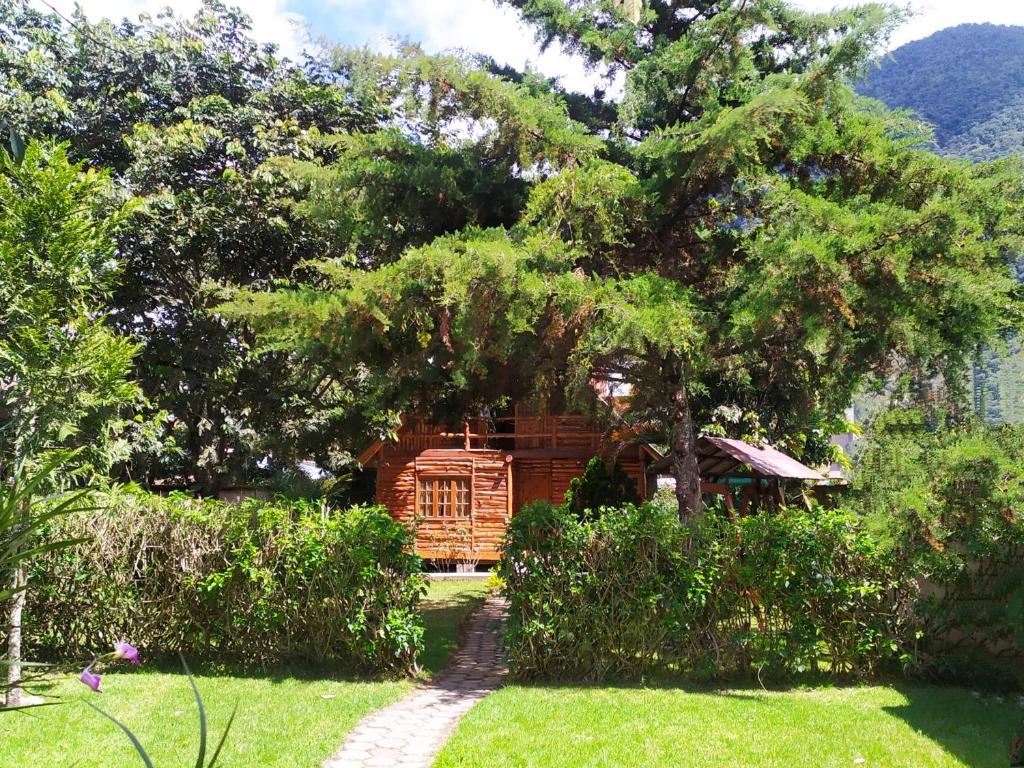 una cabaña de madera bajo un gran árbol en un patio en Cabañas Típicas ARIAS en Oxapampa