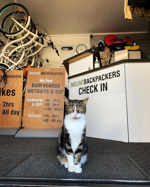 Mount Backpackers - Resim 9