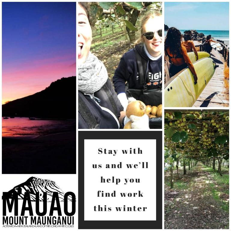 Mount Backpackers - Resim 21