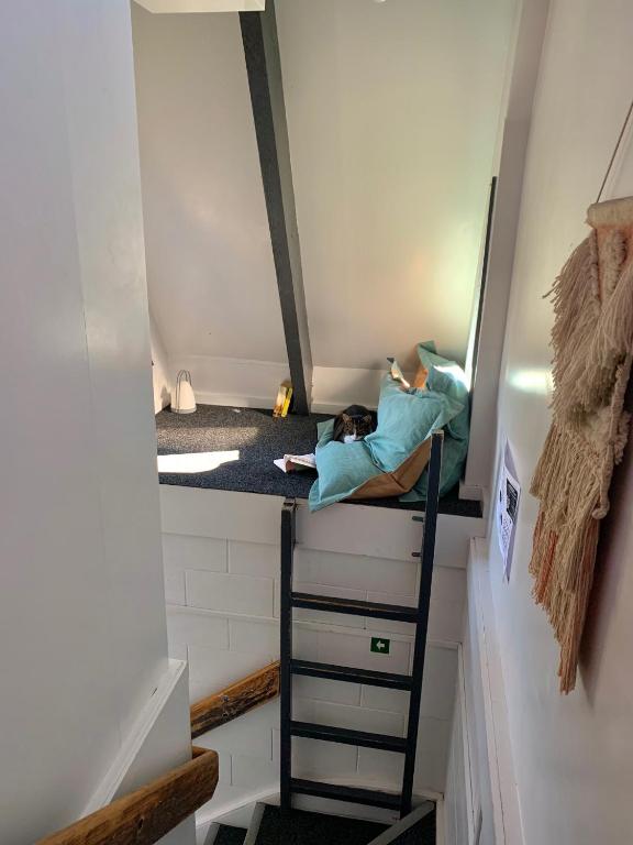 Mount Backpackers - Resim 32