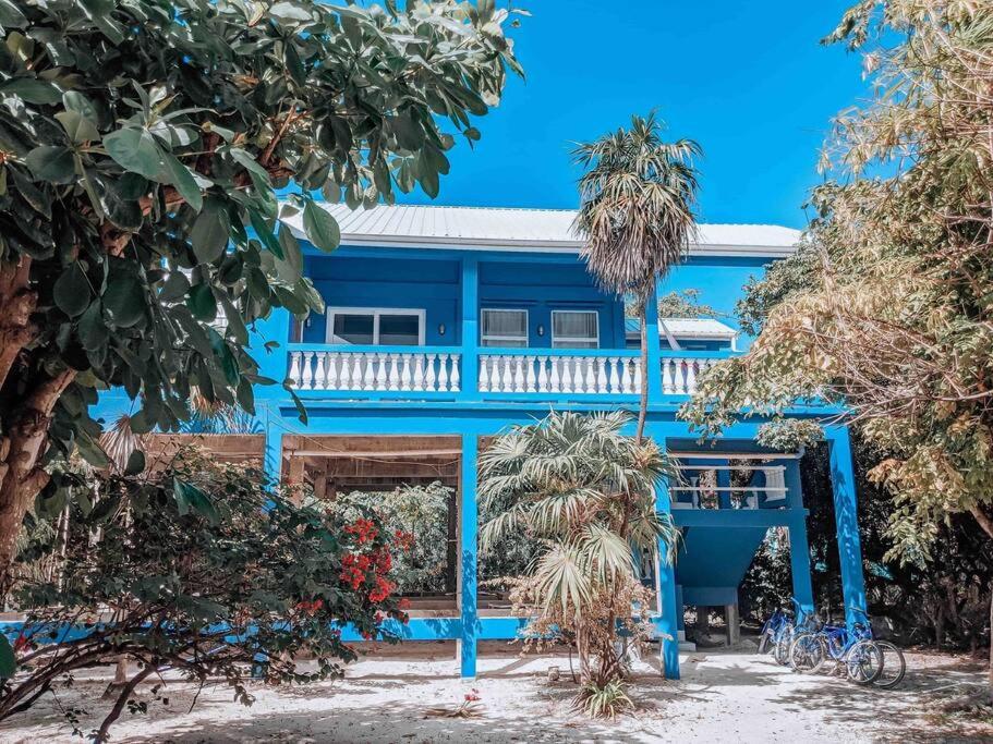 a blue house with trees in front of it at Vacation Home Blue Lotus- Gold Standard Certified in Caye Caulker