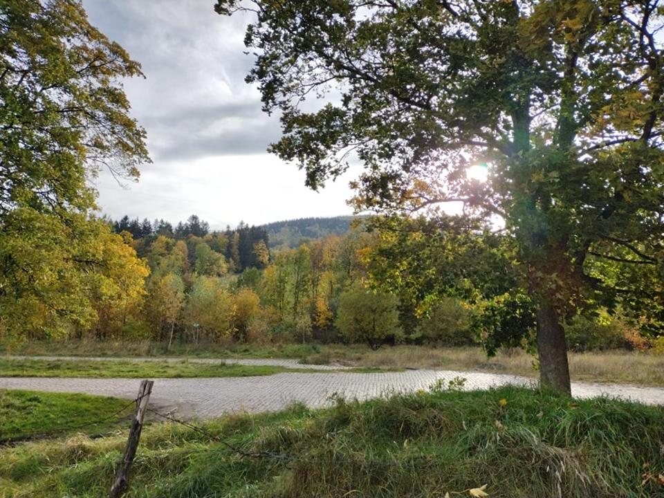 Príroda v okolí apartmánu