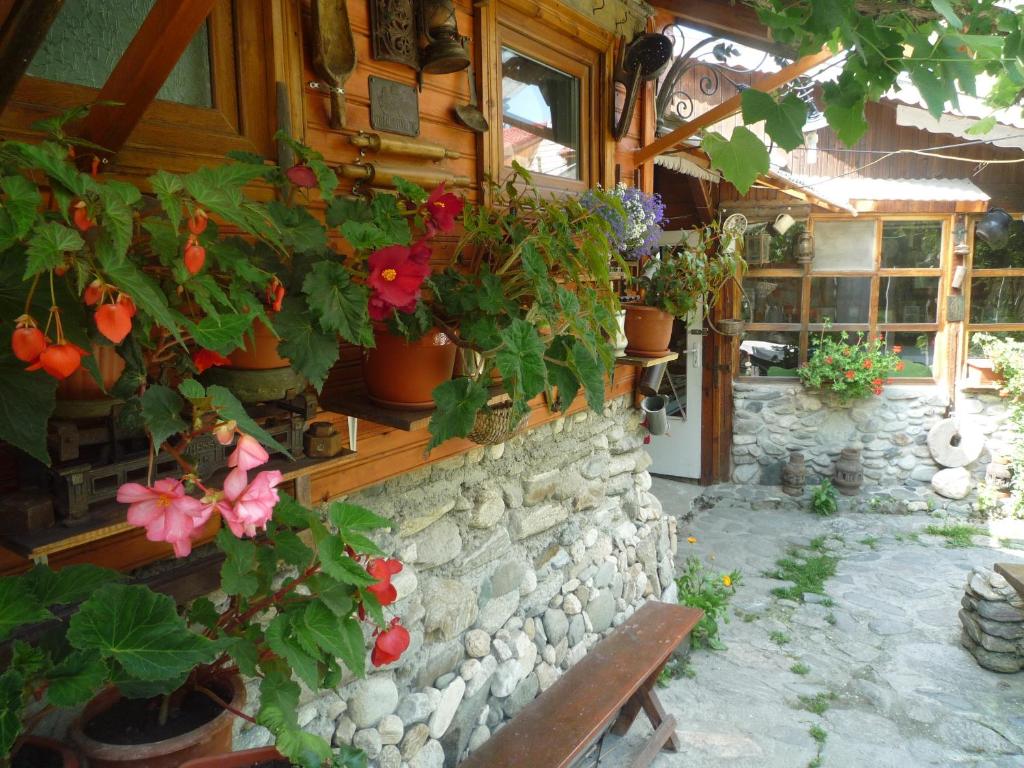 Pensiunea Mioritica - Family Room