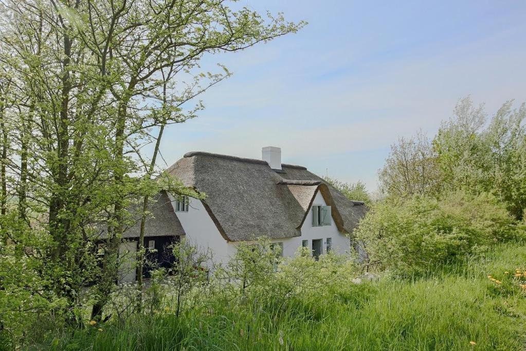 an old white house with a gray roof at Ferienhaus Achter de Diek in Altneukoogsbühr