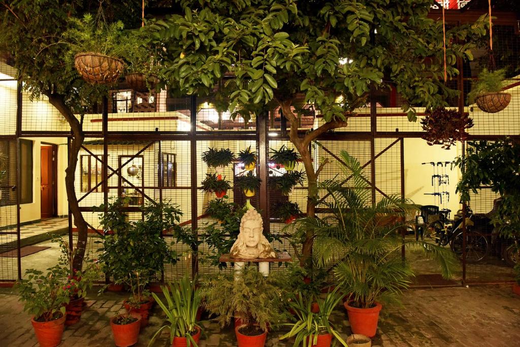 Zahrada ubytování Patnimal Guesthouse