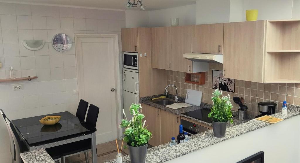 Kuchyňa alebo kuchynka v ubytovaní Vv Apartamento Gran Vista Colony Club