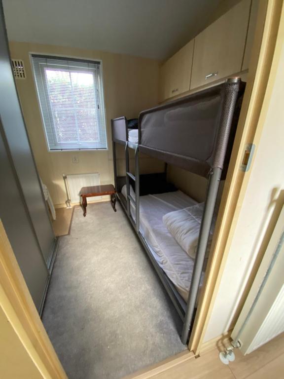 een kleine kamer met een stapelbed bij Chalet Togo in Wageningen