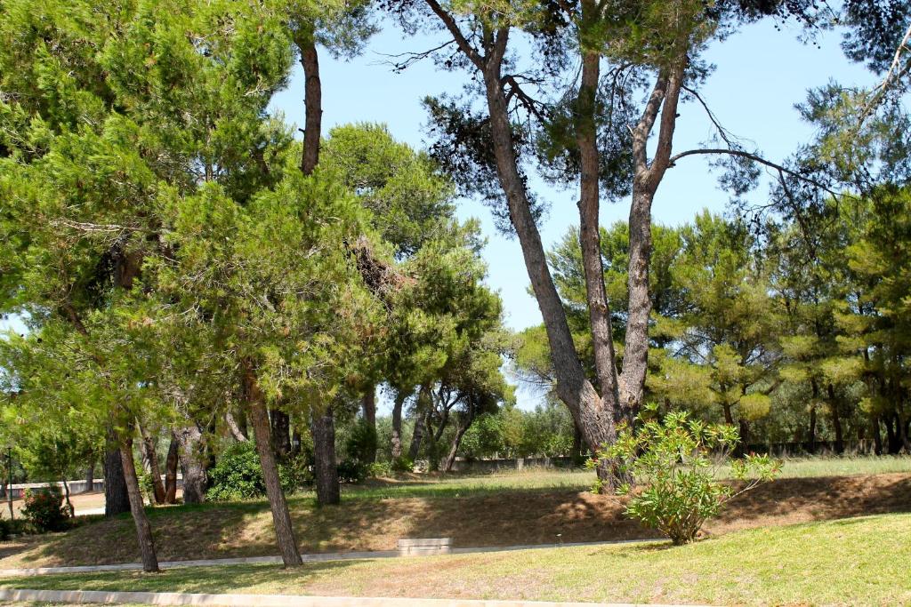 Zahrada ubytování Masseria Fabrizio