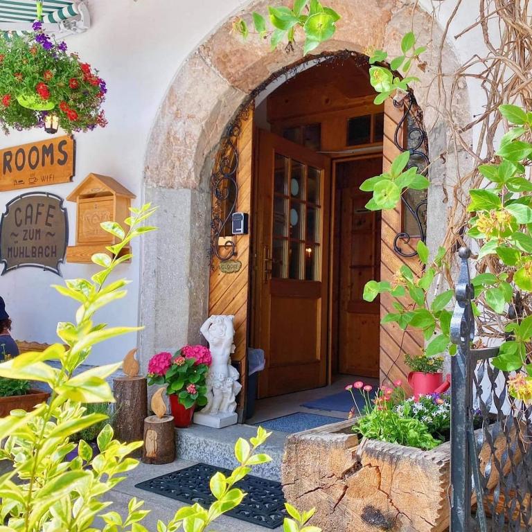 A garden outside Pension Leopoldine