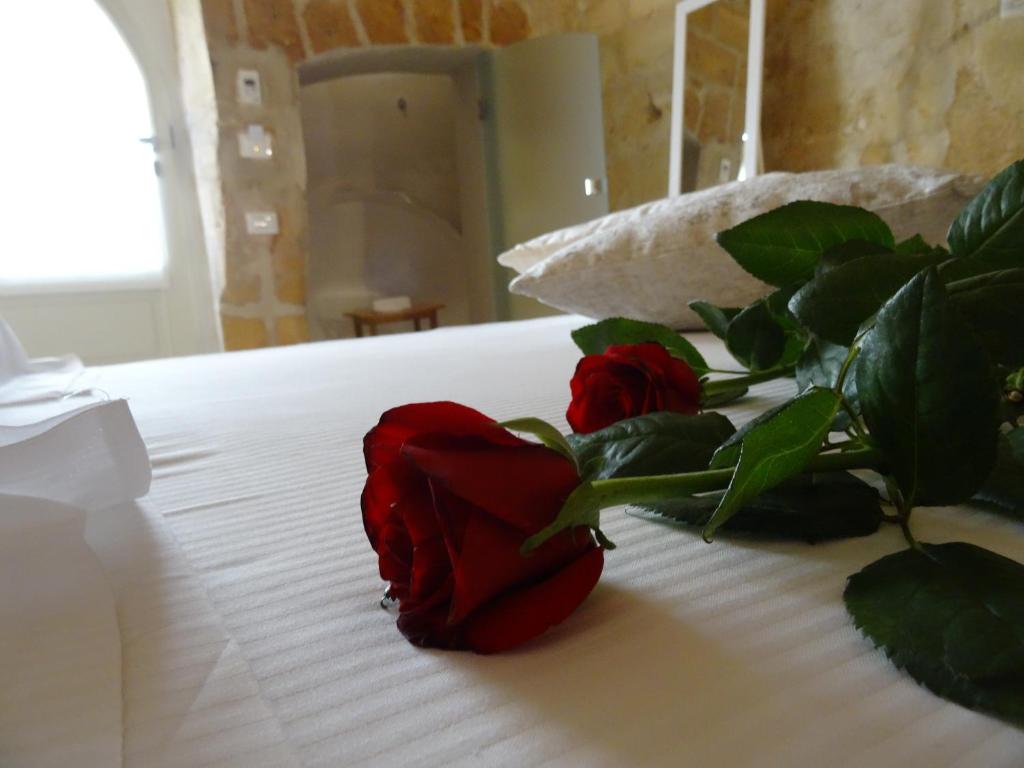 LA DIMORA DELLE 3 ZIE - 14