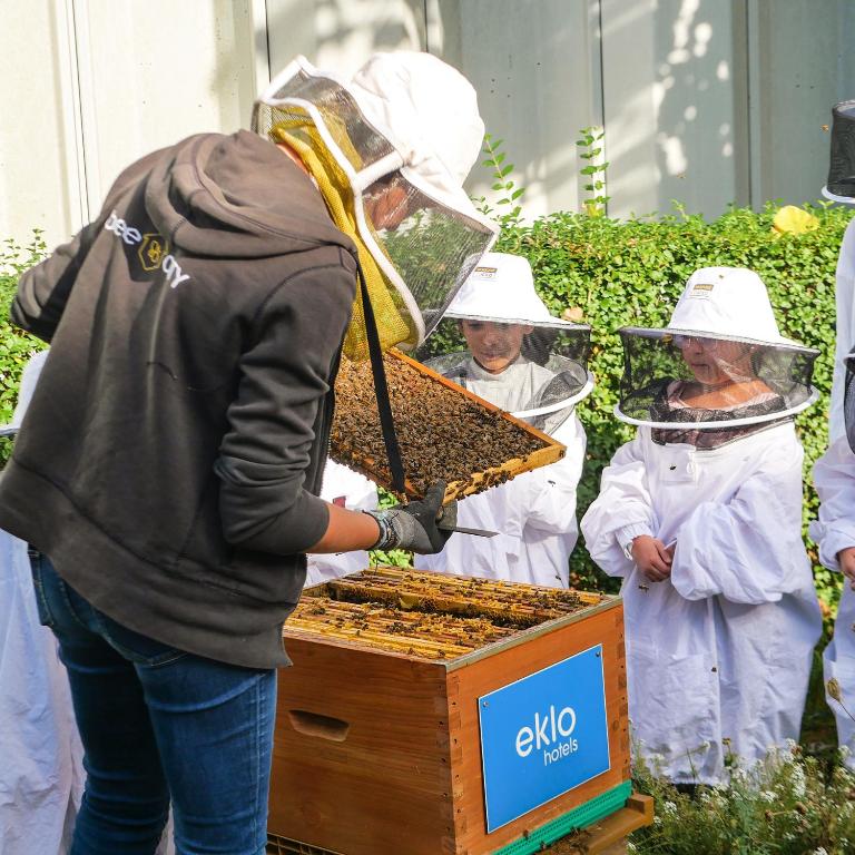 Eklo Hotels Lille - Resim 24