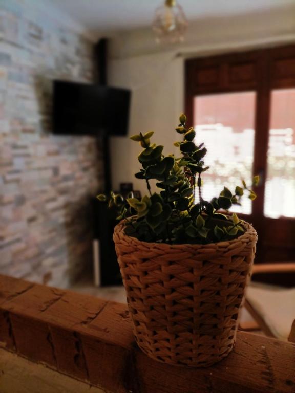TV a/nebo společenská místnost v ubytování COMO EN CASA