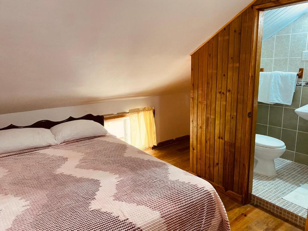 a bedroom with a bed and a bathroom with a toilet at Hotel Caribbean View in Bastimentos