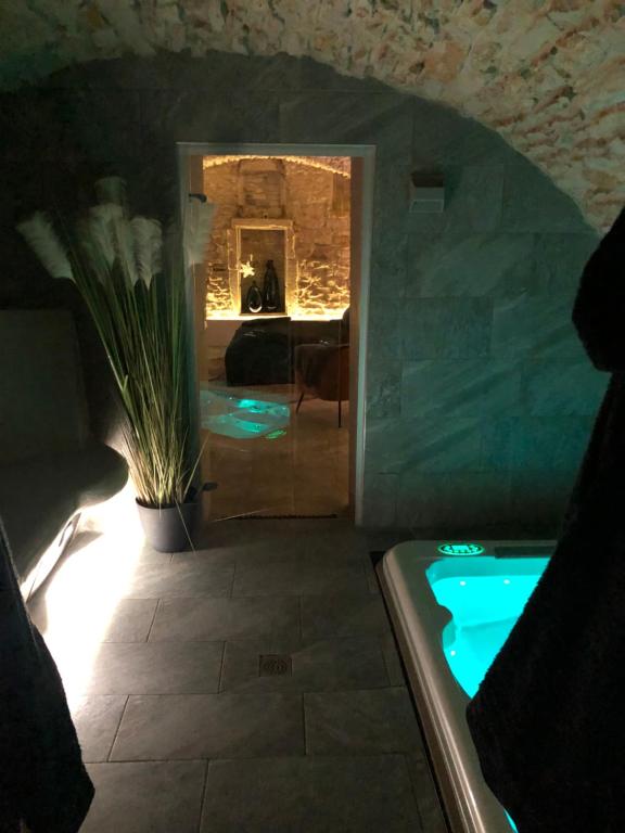 a bathroom with a hot tub in a room at jaccuzi & spa des caves Stanislas in Nancy