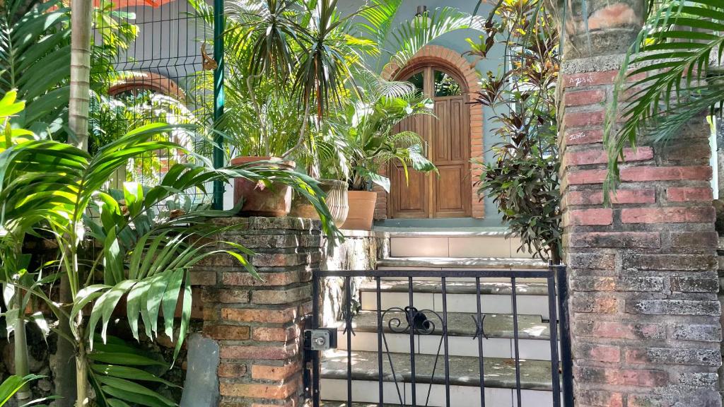 um portão com plantas em frente a uma casa em Apartamento Parota # em Sayulita