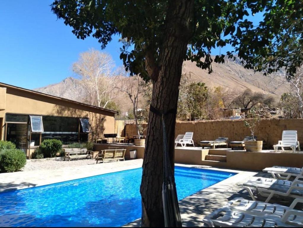 a swimming pool with a tree next to a house at Ruta Elqui in Pisco Elqui