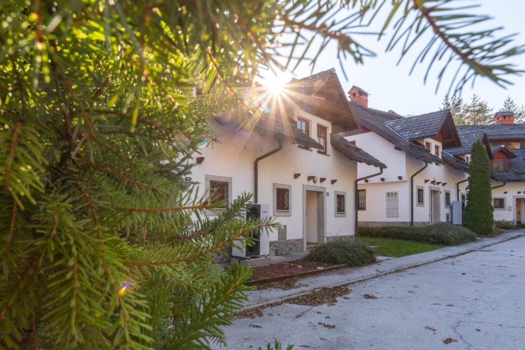 a white house with the sun shining through a tree at Apartmaji Potepuh in Kranjska Gora