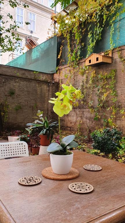 a table with a potted plant on top of it at 7brunnen Hostel Beds & Rooms in Vienna