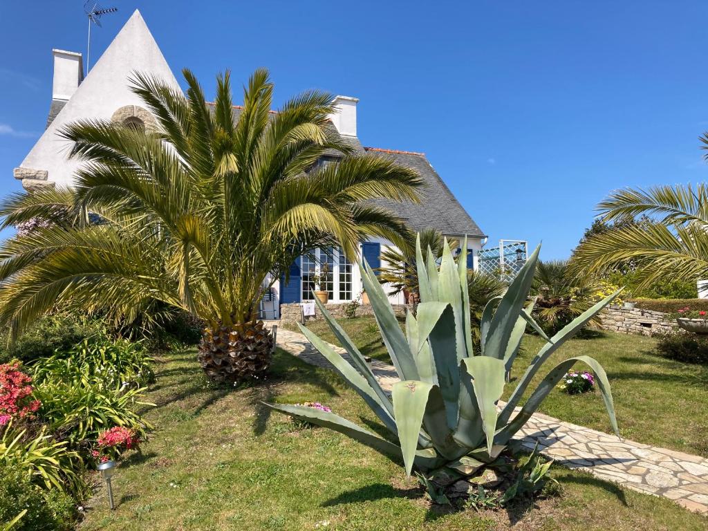 une maison avec des palmiers devant dans l'établissement EOLE 22 Binic, à Binic